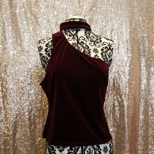 Velvet, wine colored crop top